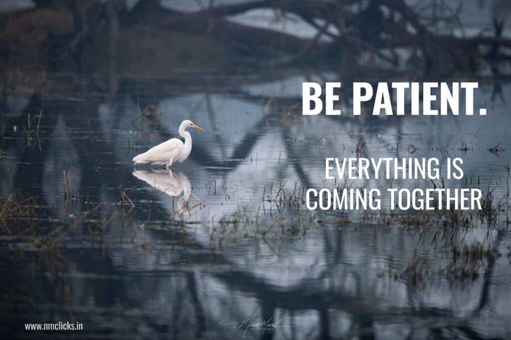 Be Patient